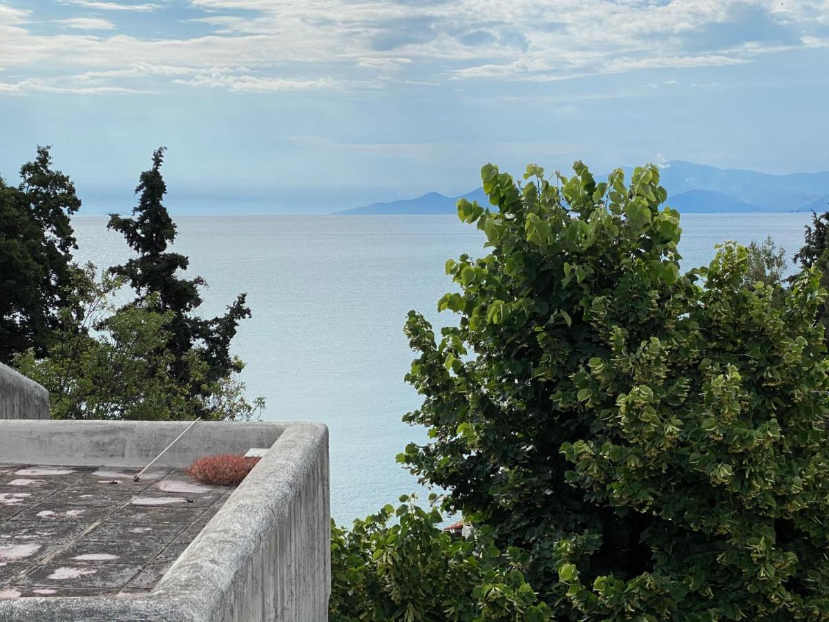 Irini Seaside Apartment PalaiónTsiflíkion Dış mekan fotoğraf