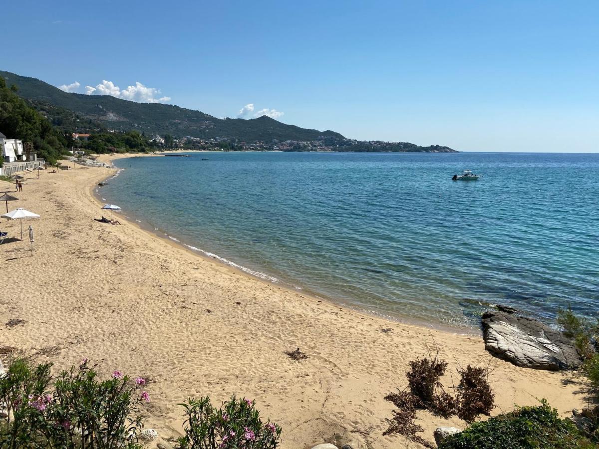 Irini Seaside Apartment PalaiónTsiflíkion Dış mekan fotoğraf