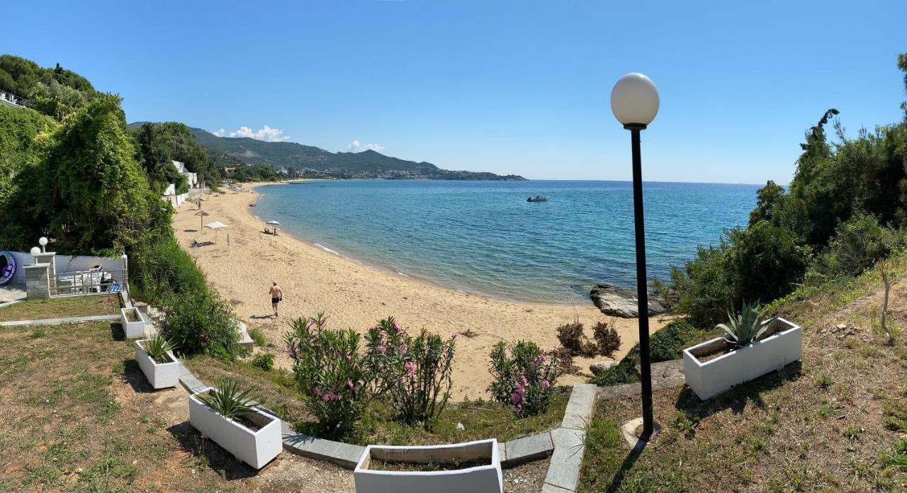 Irini Seaside Apartment PalaiónTsiflíkion Dış mekan fotoğraf