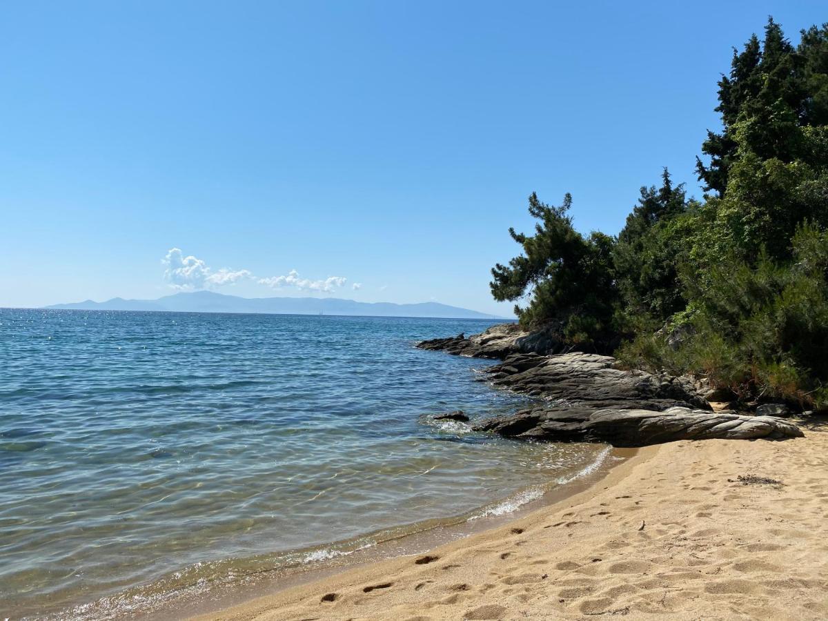 Irini Seaside Apartment PalaiónTsiflíkion Dış mekan fotoğraf