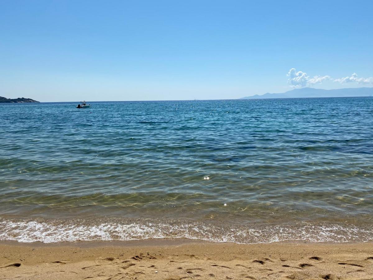 Irini Seaside Apartment PalaiónTsiflíkion Dış mekan fotoğraf