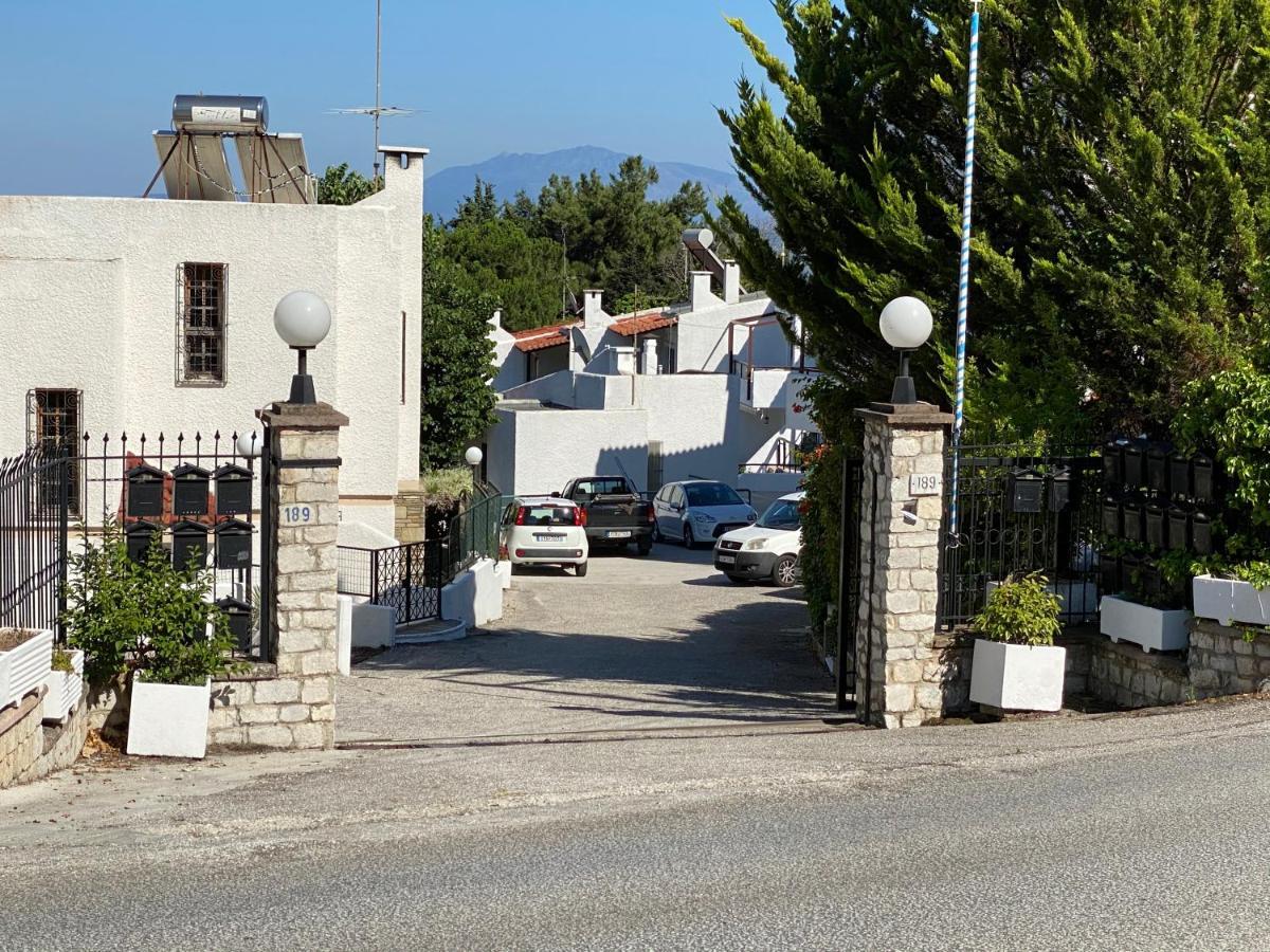 Irini Seaside Apartment PalaiónTsiflíkion Dış mekan fotoğraf