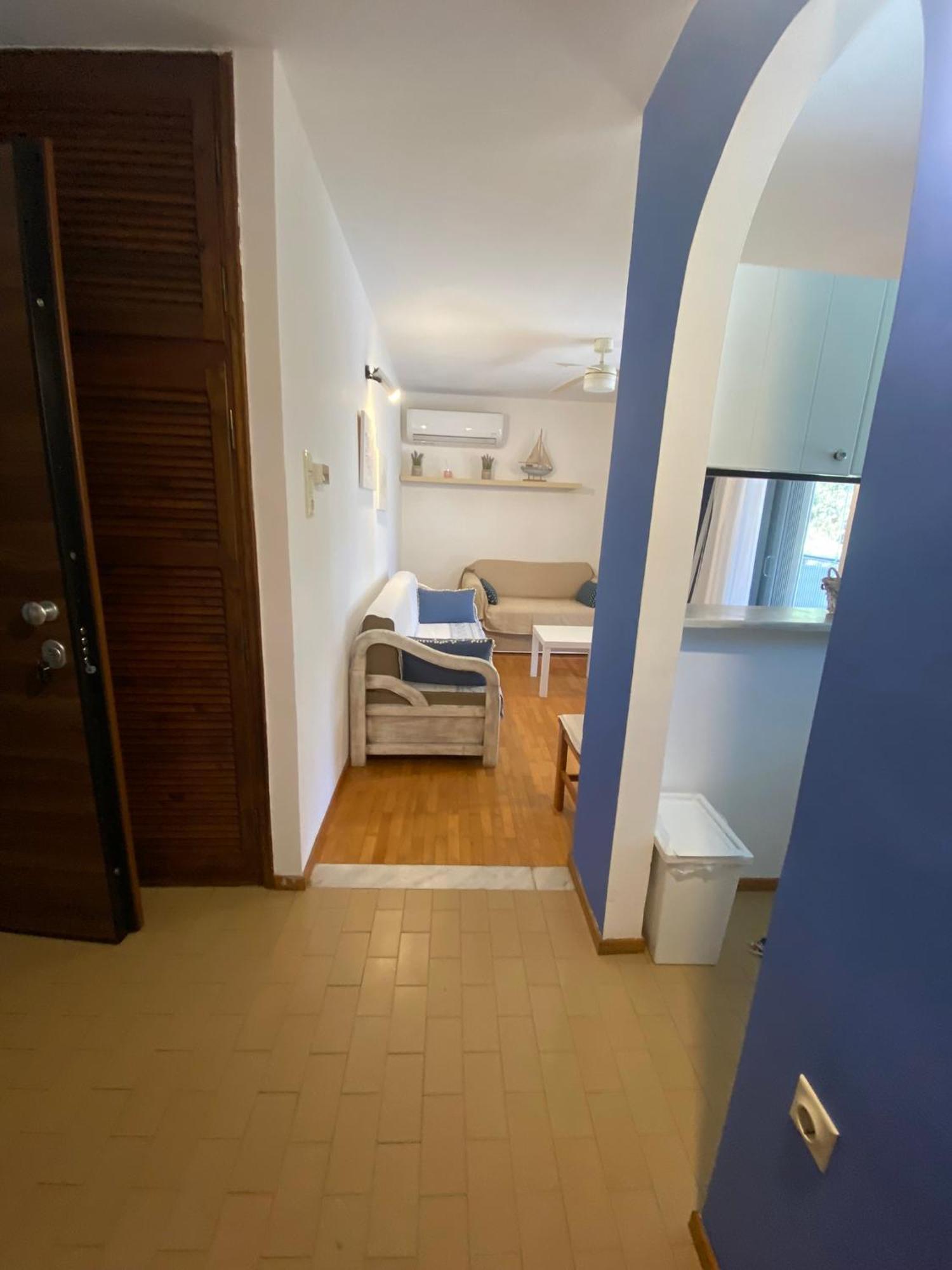 Irini Seaside Apartment PalaiónTsiflíkion Dış mekan fotoğraf