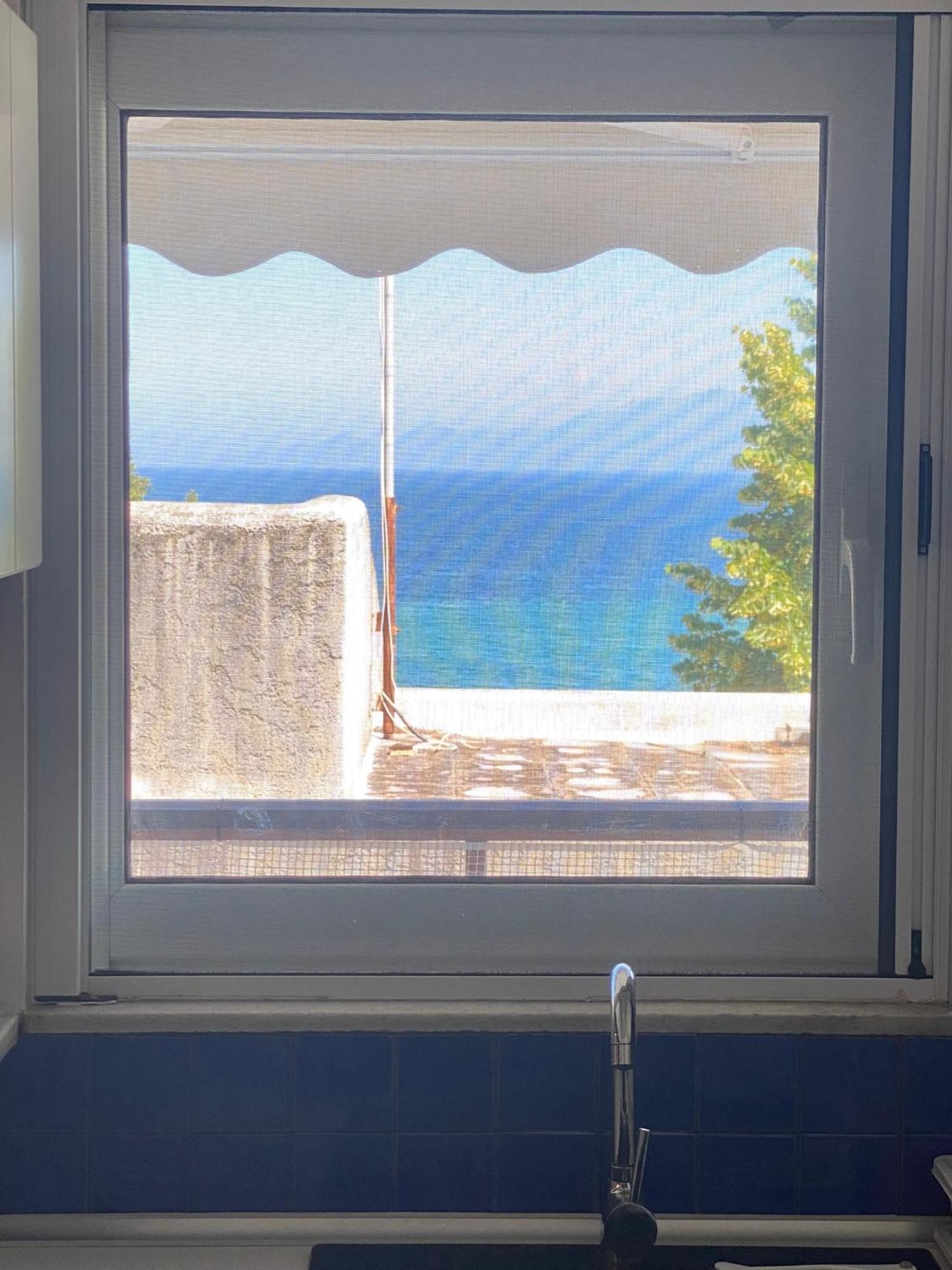 Irini Seaside Apartment PalaiónTsiflíkion Dış mekan fotoğraf